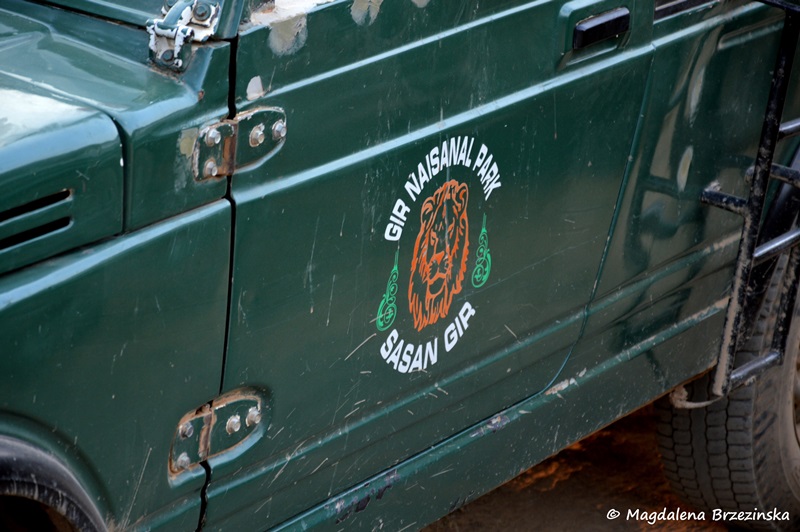 Jeep straży leśnej Parku Narodowego Gir ©Magdalena Brzezińska 