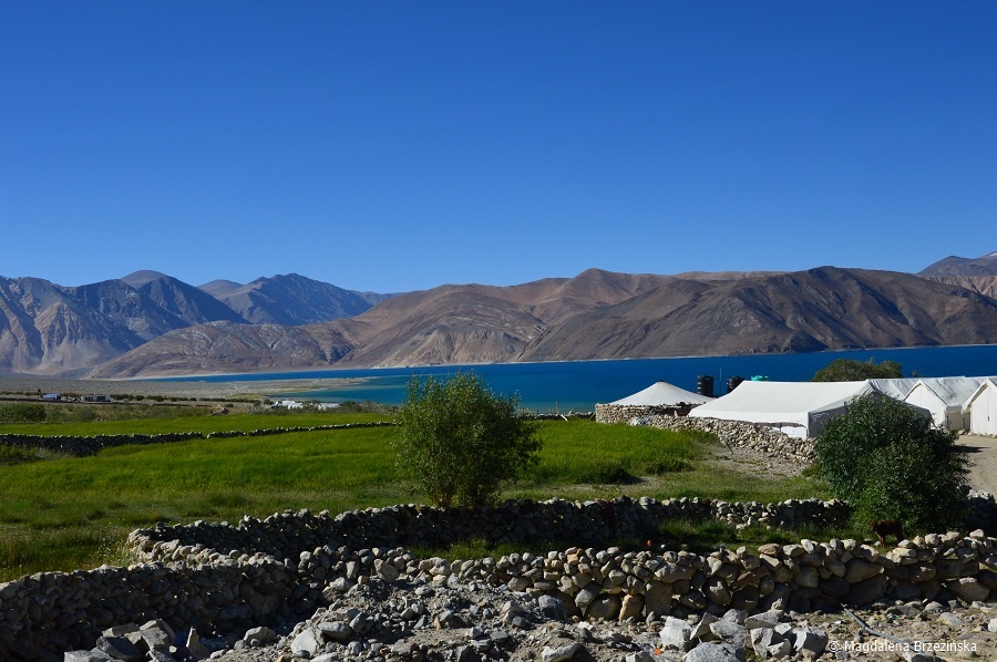 fot. Pola namiotowe nad Pangong Tso © Magdalena Brzezińska, Ladakh, Indie 2016 Pola namiotowe nad Pangong Tso © Magdalena Brzezińska, Ladakh, Indie 2016