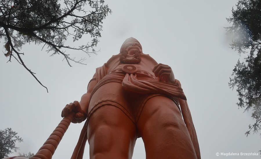 fot. Posąg Hanumana w świątyni Jakhoo © Magdalena Brzezińska, Indie 2016