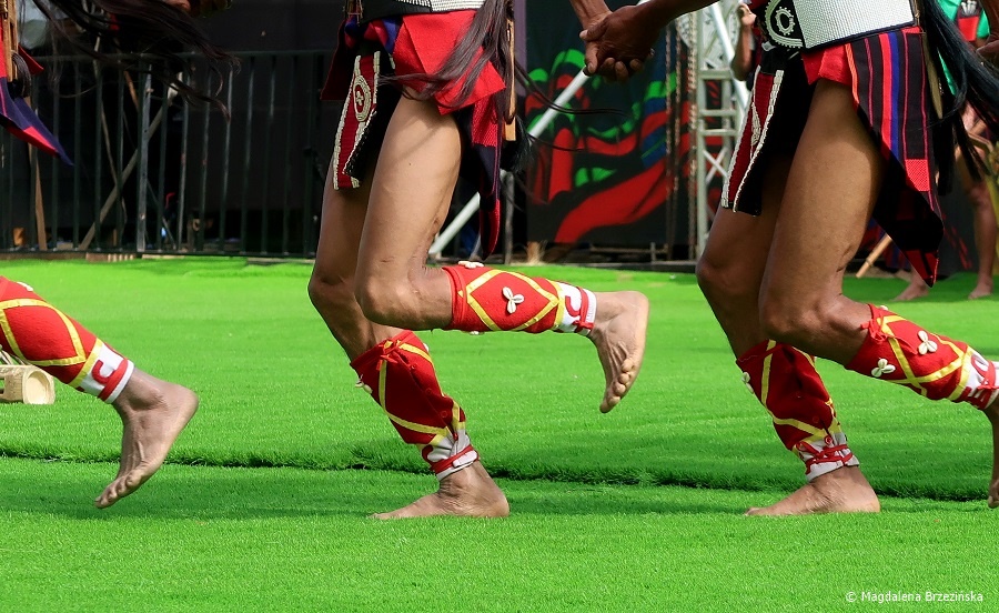 fot. Ozdoby na nogach wojowników Sangtam © Magdalena Brzezińska, Hornbill Festiwal, Kisama, Indie, 2019